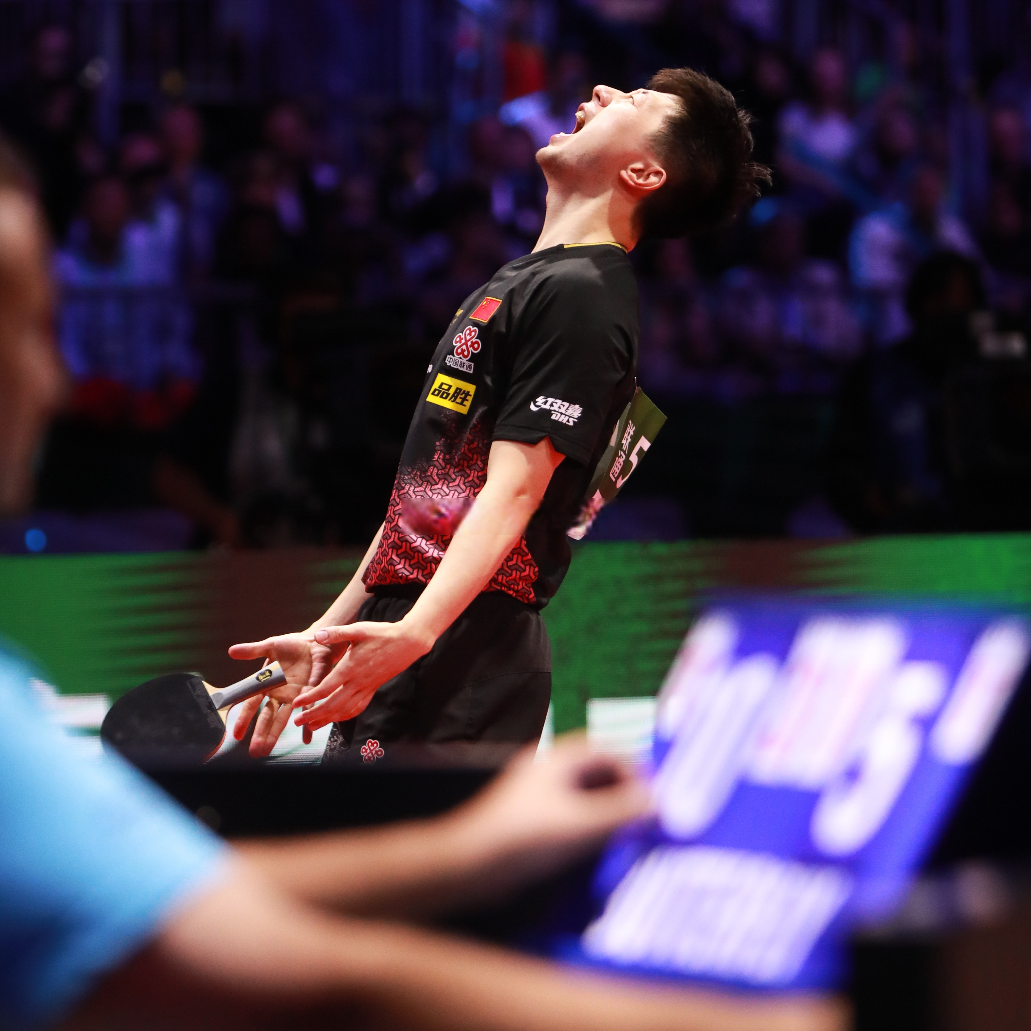 包含比利时乒乓球队绝地反击韩国乒乓球队,马龙绝境逆转的词条 包含比利时乒乓球队绝地反击韩国乒乓球队,马龙绝境逆转的词条