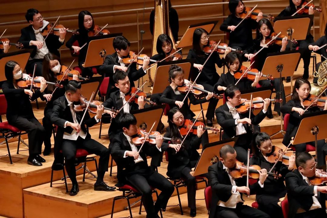 篮球胜利者的荣耀时刻，夺冠乐团奏响篇章的简单介绍