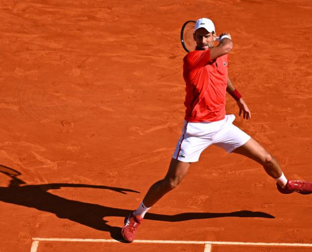 包含法网险胜ATP总决赛，德约科维奇高光表现的词条