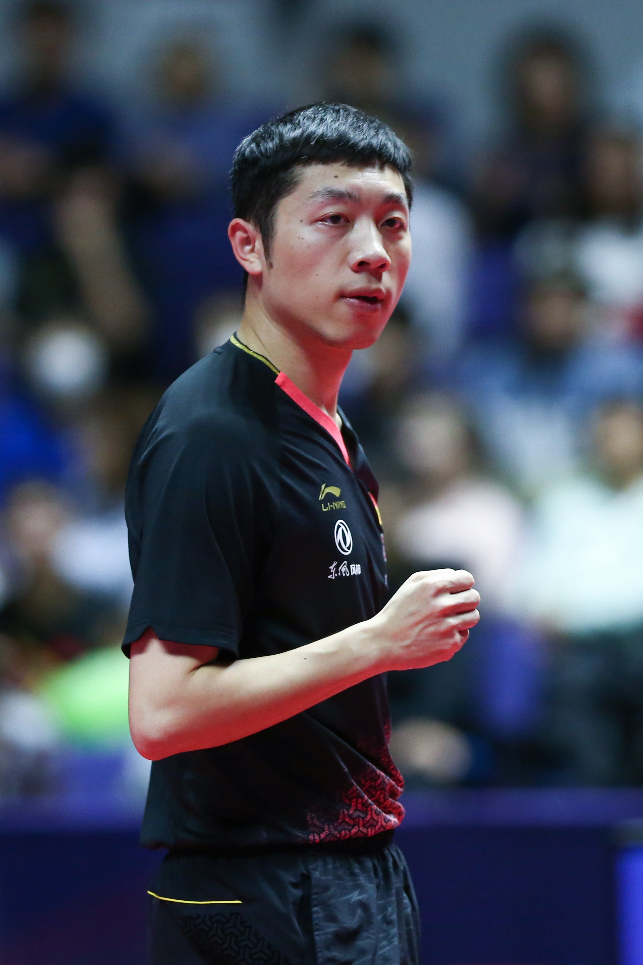 日本乒乓球队翻盘中国乒乓球队,许昕打破历史纪录的简单介绍 日本乒乓球队翻盘中国乒乓球队,许昕打破历史纪录的简单介绍