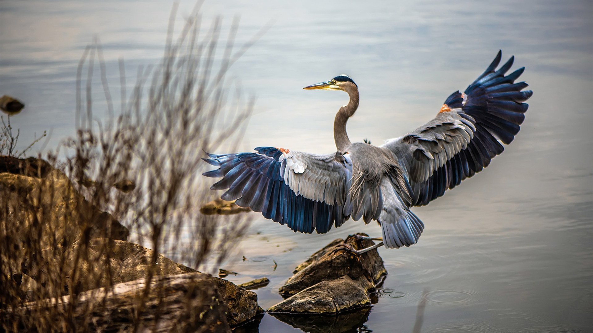跨界竞技场,湖人精神与东契奇时刻—唯一性的胜利哲学